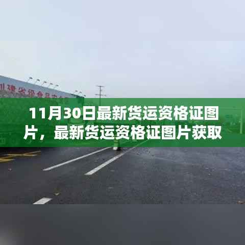 最新货运资格证图片获取攻略，11月30日版全解析