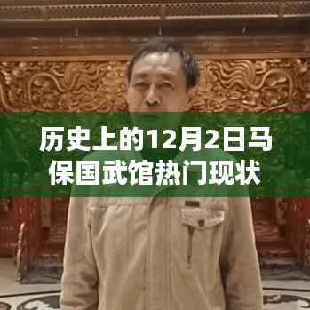 探寻历史上的马保国武馆，热门现状下的入门指南与技能进阶攻略，探寻武馆历史与现状揭秘！
