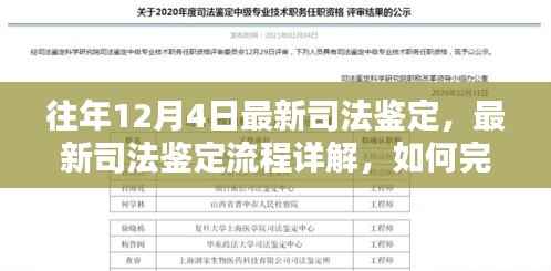往年12月4日最新司法鉴定详解及流程指南，如何高效完成司法鉴定任务？