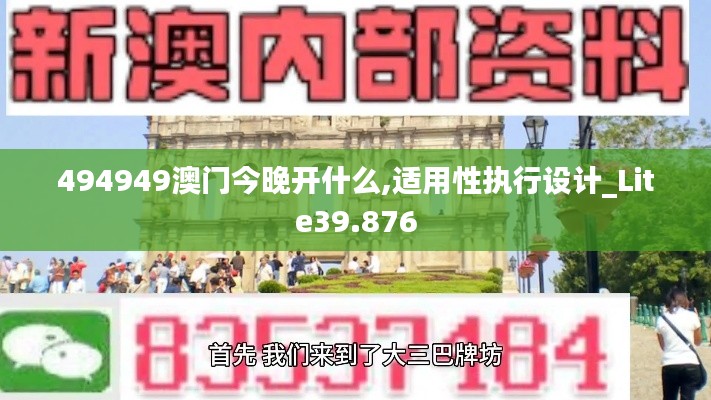 494949澳门今晚开什么,适用性执行设计_Lite39.876