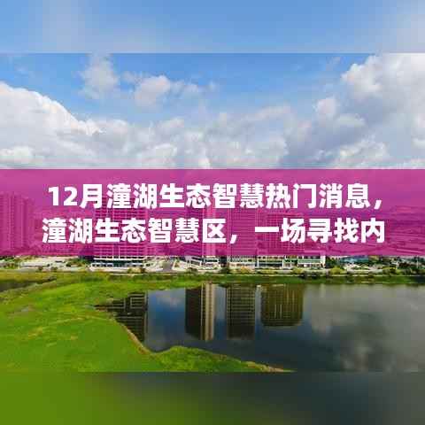 潼湖生态智慧区十二月热门消息,寻找内心平静的旅程