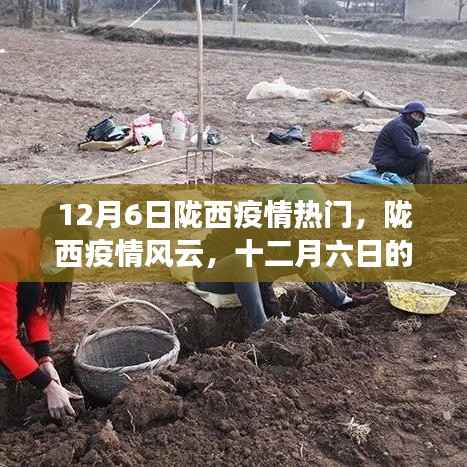 陇西疫情风云,十二月六日的深刻记忆与影响