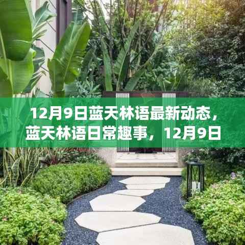 鸟面鹄形 第2页