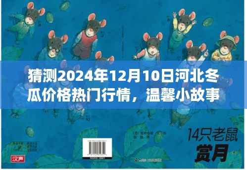 河北冬瓜行情预测记,探寻未来价格的神秘之旅(温馨小故事)