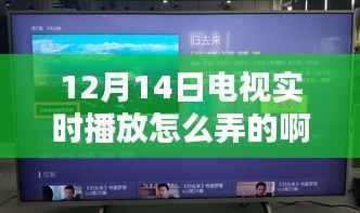 小红书独家揭秘,轻松搞定12月14日电视实时播放的方法!