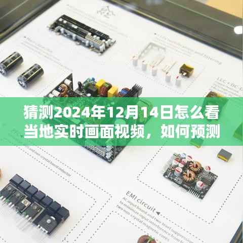 如何预测并观看2024年12月14日当地实时画面视频，初学者与进阶用户指南