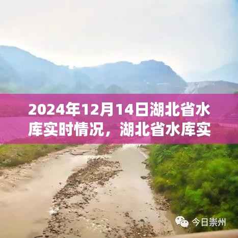 湖北省水库实时情况报告,2024年12月14日评测分析