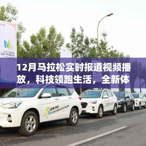 各就各位 第2页