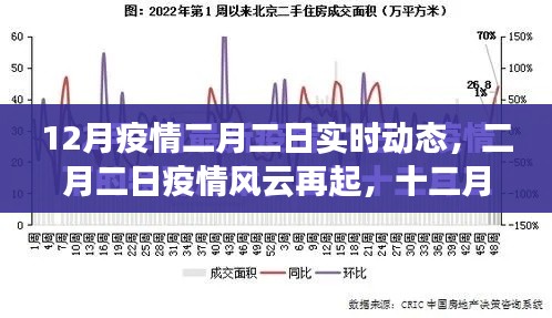 十二月与二月疫情动态回顾与洞察，风云再起的影响分析