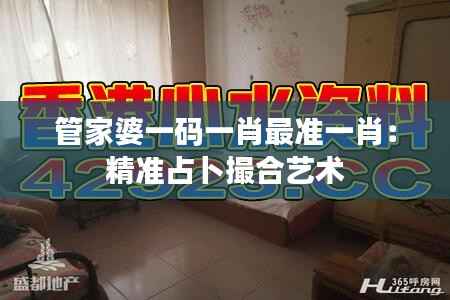 管家婆一码一肖最准一肖：精准占卜撮合艺术