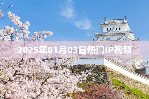 2025年热门IP视频概览