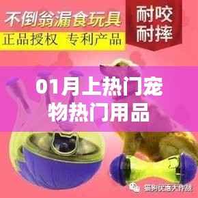 宠物热门用品榜单出炉，一月精选推荐