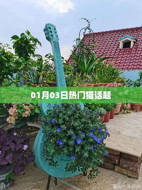 月里嫦娥