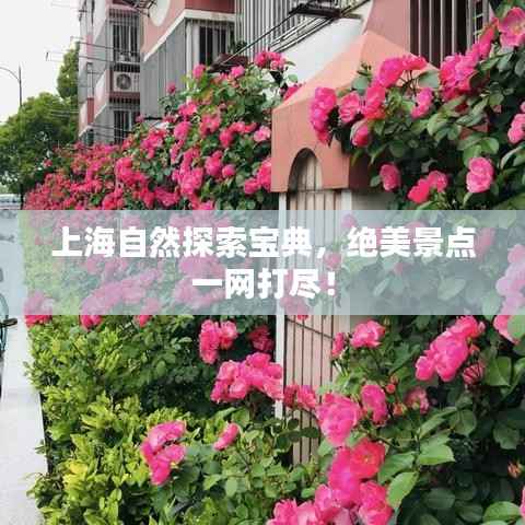 上海自然探索宝典，绝美景点一网打尽！