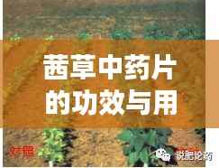 徙宅忘妻