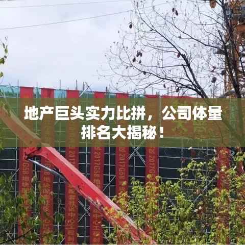 雪中送炭