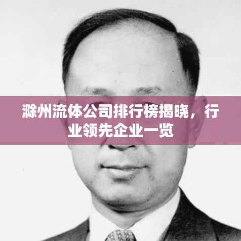 滁州流体公司排行榜揭晓，行业领先企业一览
