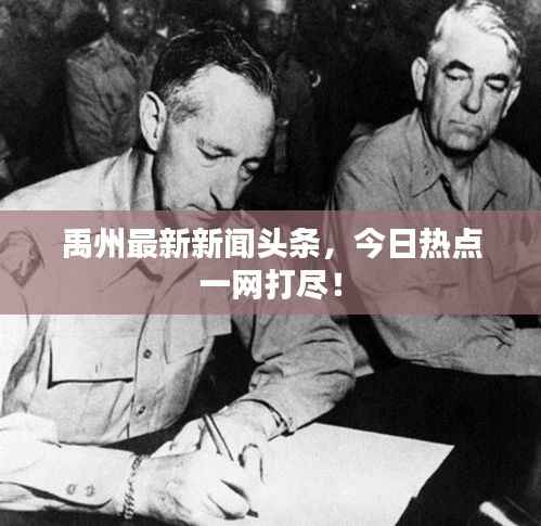 禹州最新新闻头条，今日热点一网打尽！